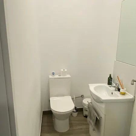 Cal Feliu Piso Amplio En El Centro De *